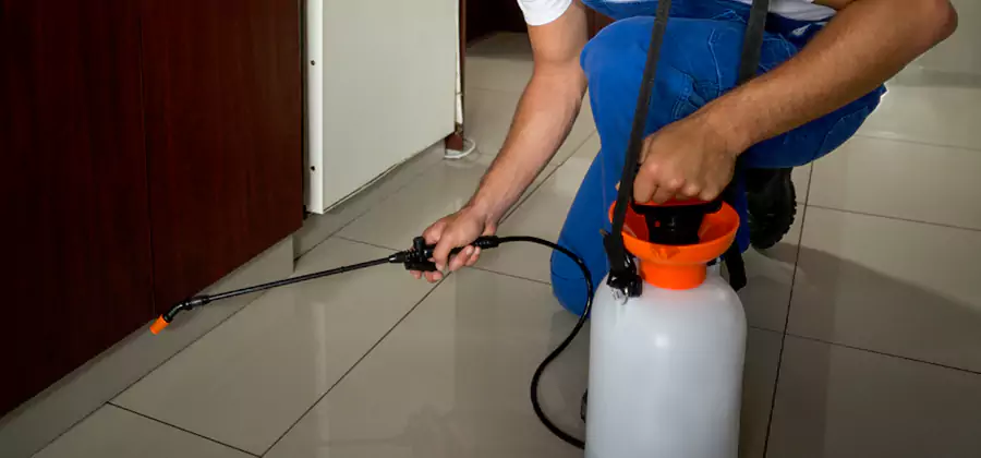 Indoor Mosquito Treatment in Peachtree Corners