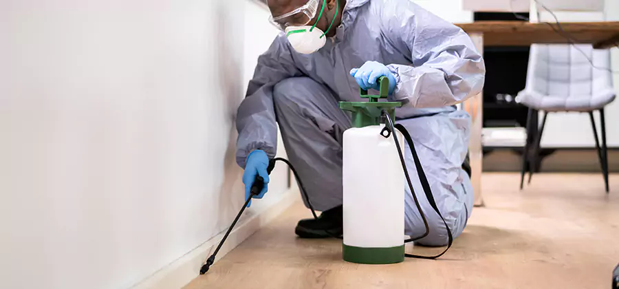 No Tent Termite Extermination With Electric Tool in Peachtree Corners