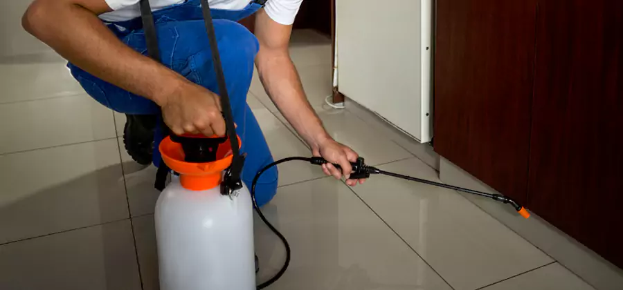 One Time Termite Control in Peachtree Corners