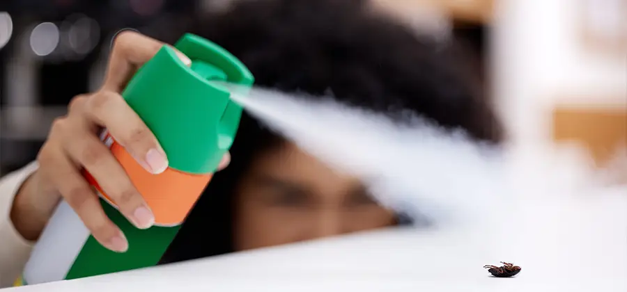 Child Safe Bed Bug Treatment in Peachtree Corners