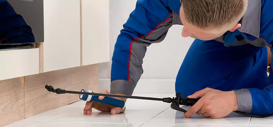 Moisture Treatment For Termite Control Service in Peachtree Corners