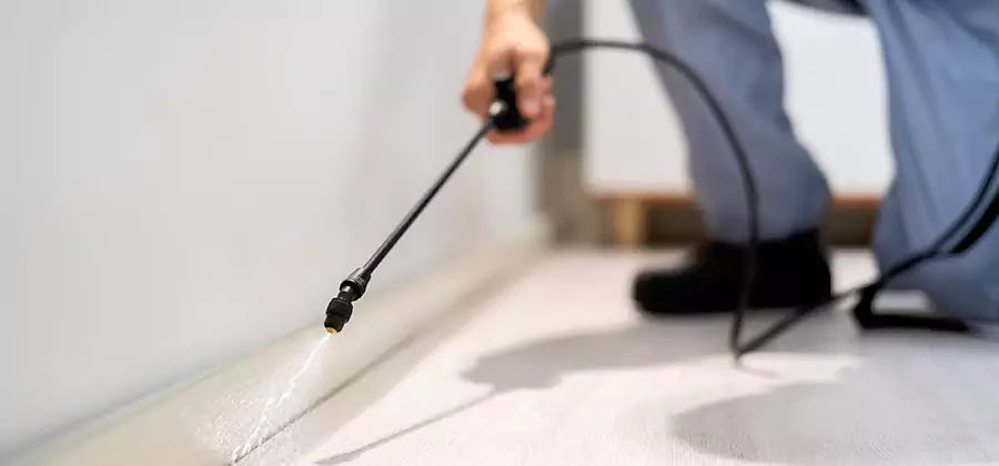 Direct Termite Injection Treatment in Peachtree Corners
