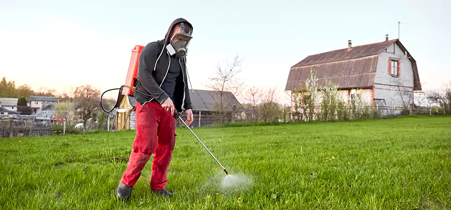 Flea and Tick Pest Control in Peachtree Corners