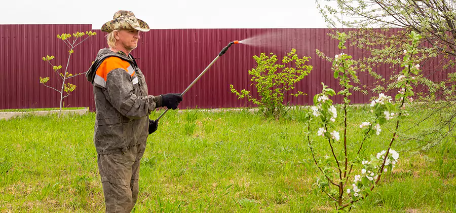 Flea and Tick Spray for Yard in Peachtree Corners