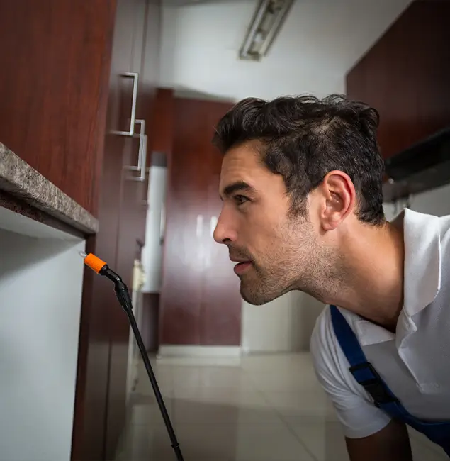 Why Choose Peachtree Corners Pest Control Pro for Bed Bug Removal Cost in Peachtree Corners, GA?