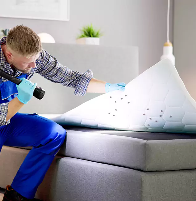 Why Choose Peachtree Corners Pest Control Pro in Peachtree Corners, GA?