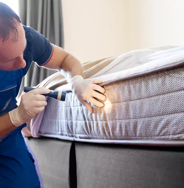 Why Choose Peachtree Corners Pest Control Pro for Bed Bug Services in Peachtree Corners, GA?
