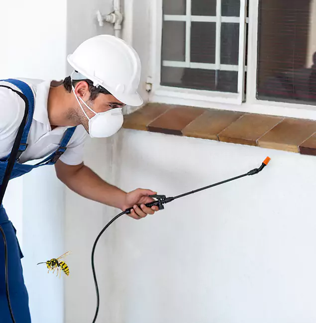 Why Peachtree Corners Property Owners Choose Peachtree Corners Pest Control Pro for Bee Nest Removal?