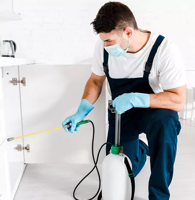 Why Choose Peachtree Corners Pest Control Pro for Emergency Pest Control in Peachtree Corners?