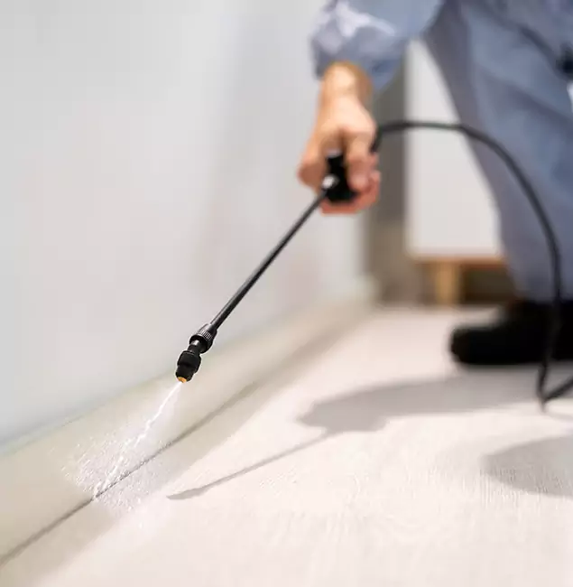 Why Choose Peachtree Corners Pest Control Pro for Termite Treatment in Peachtree Corners, GA?