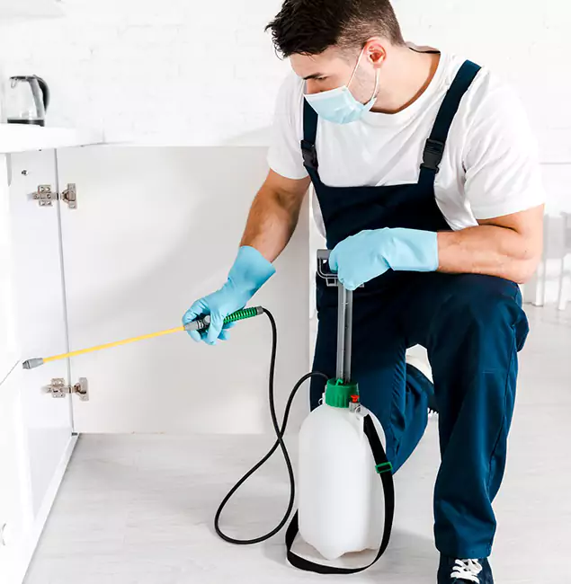 Why Peachtree Corners, GA Homeowners Trust Us for German Roach Control?