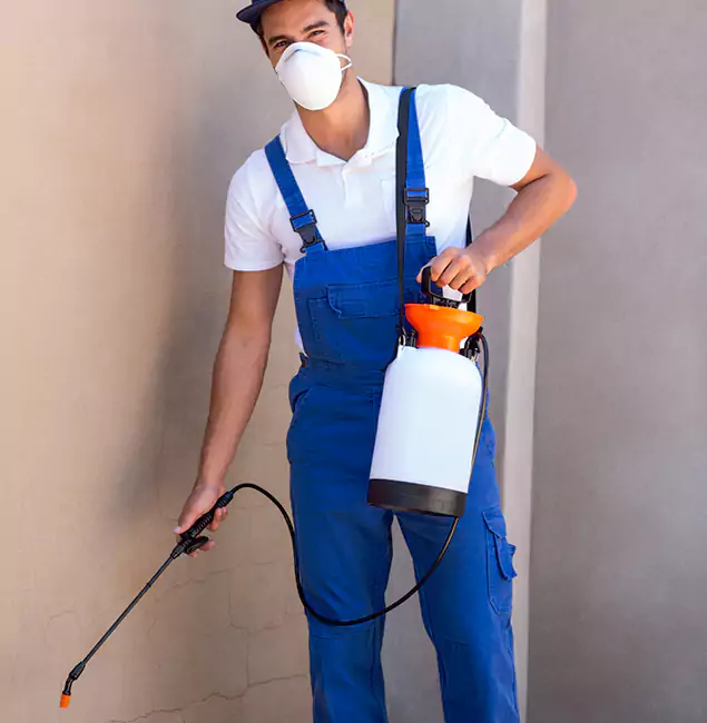 What Makes Peachtree Corners Pest Control Pro the Right Choice in Peachtree Corners, GA?