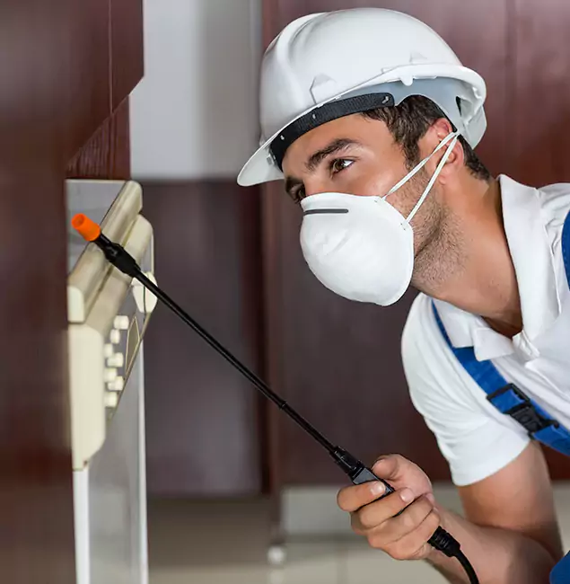Why Peachtree Corners Homeowners Rely on Peachtree Corners Pest Control Pro for Tick Treatment?