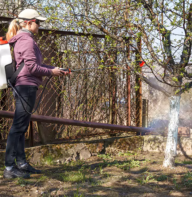 Why Peachtree Corners Homeowners Choose Peachtree Corners Pest Control Pro for Mosquito Abatement?