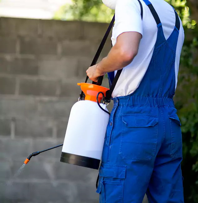 Why Peachtree Corners Homeowners Rely on Peachtree Corners Pest Control Pro for Mosquito Control?