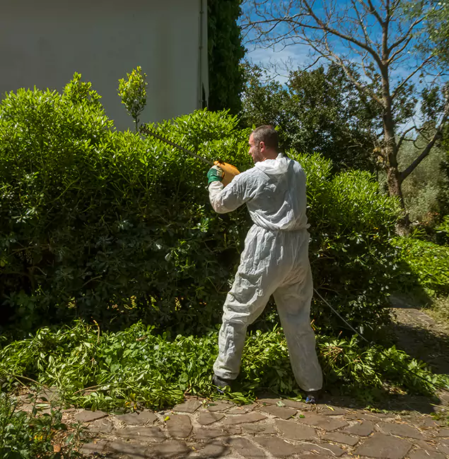 Why Peachtree Corners Pest Control Pro Leads Mosquito Control in Peachtree Corners, GA?
