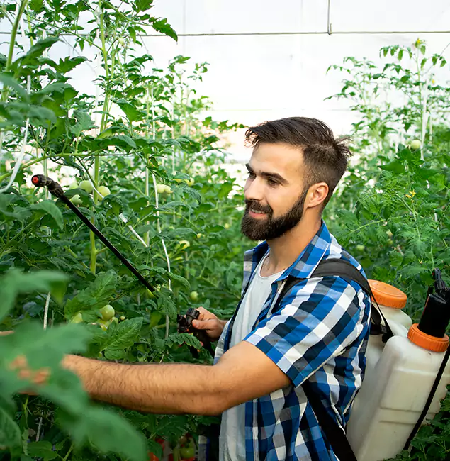 Why Peachtree Corners Homeowners Choose Peachtree Corners Pest Control Pro for Mosquito Spraying?