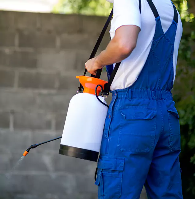 Why Peachtree Corners Pest Control Pro Delivers the Best Mosquito Control in Peachtree Corners, GA?