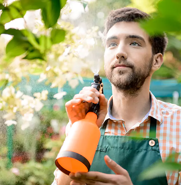 Why Peachtree Corners Homeowners Call Peachtree Corners Pest Control Pro for Mosquitoes in House?