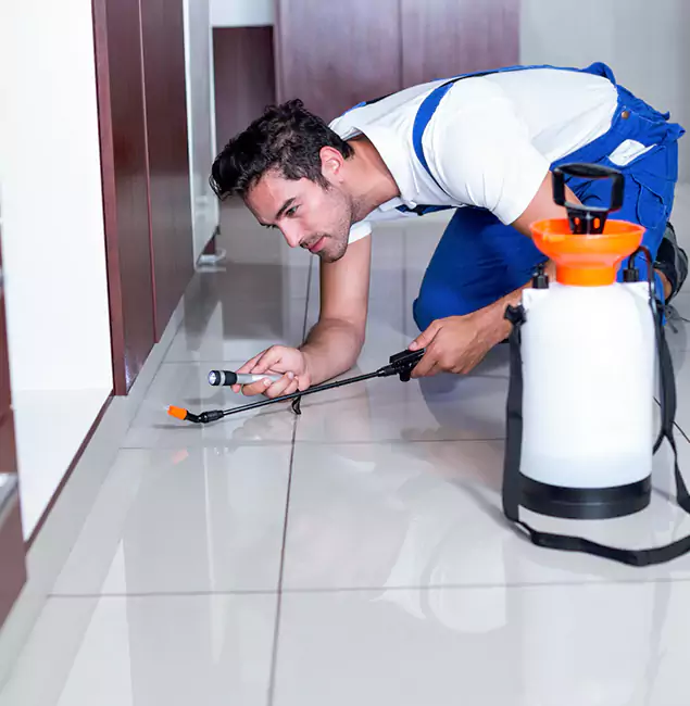 Why Peachtree Corners Pest Control Pro Is the Proven Choice in Peachtree Corners, GA?