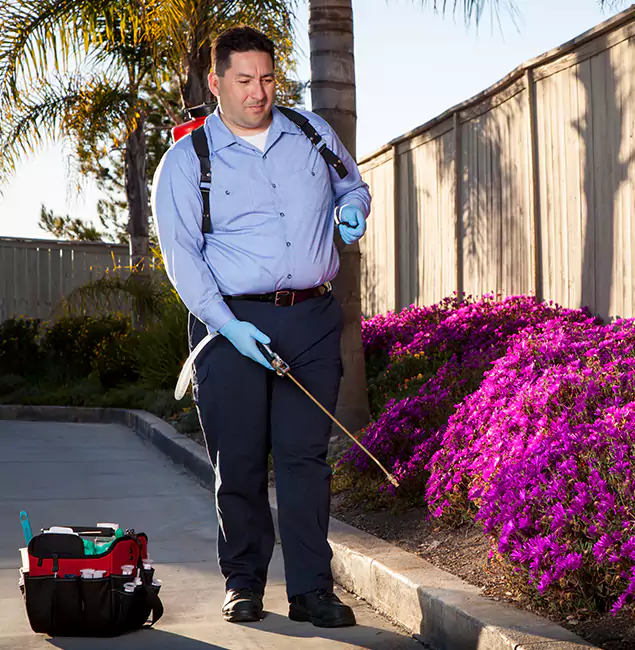 Why Choose Peachtree Corners Pest Control Pro in Peachtree Corners, GA?