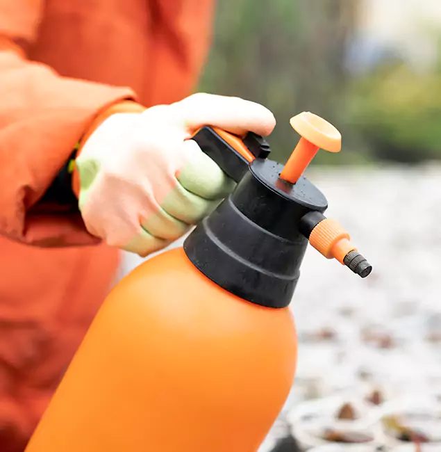 Why Choose Peachtree Corners Pest Control Pro for Orange Termite Treatment in Peachtree Corners, GA?