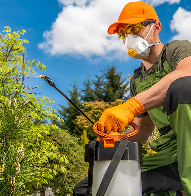 Why Choose Peachtree Corners Pest Control Pro for Outdoor Pest Control in Peachtree Corners, GA?