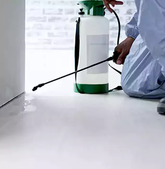 Why Choose Peachtree Corners Pest Control Pro for Rat Exterminator in Peachtree Corners, GA?