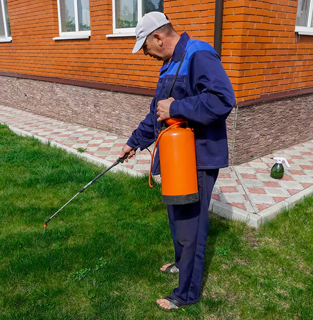 Why Choose Peachtree Corners Pest Control Pro for Residential Pest Control in Peachtree Corners, GA?