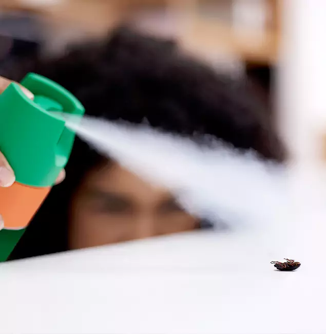 Why Peachtree Corners, GA Homeowners Choose Peachtree Corners Pest Control Pro for Roach Pest Control?