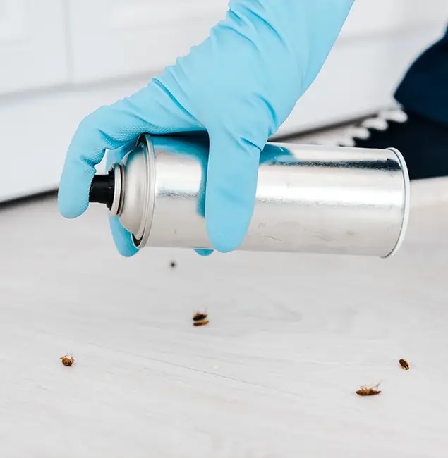 Why Choose Peachtree Corners Pest Control Pro for Safe Bed Bug Treatment in Peachtree Corners, GA?