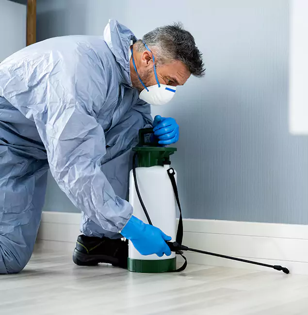 Why Choose Peachtree Corners Pest Control Pro for Subterranean Termites Treatment in Peachtree Corners, GA?