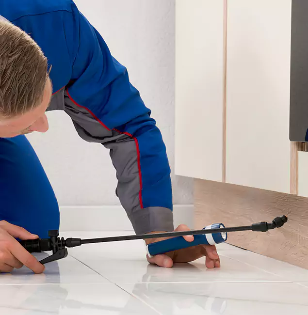 Why Peachtree Corners Residents Choose Peachtree Corners Pest Control Pro to Get Rid of Sugar Ants?