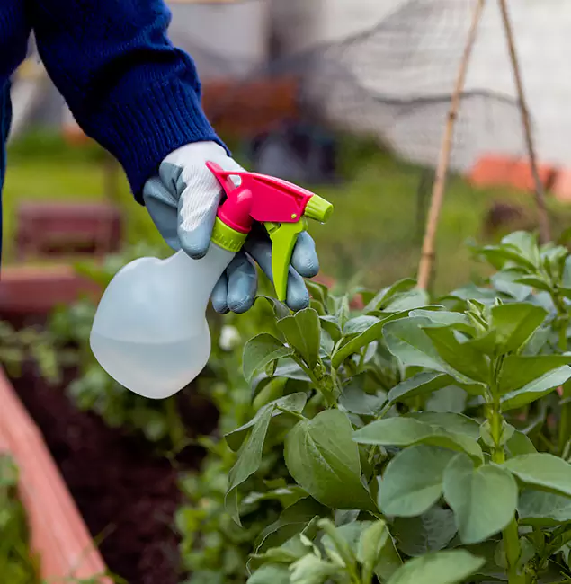 Why Peachtree Corners Relies on Peachtree Corners Pest Control Pro for Wasp Control Services?
