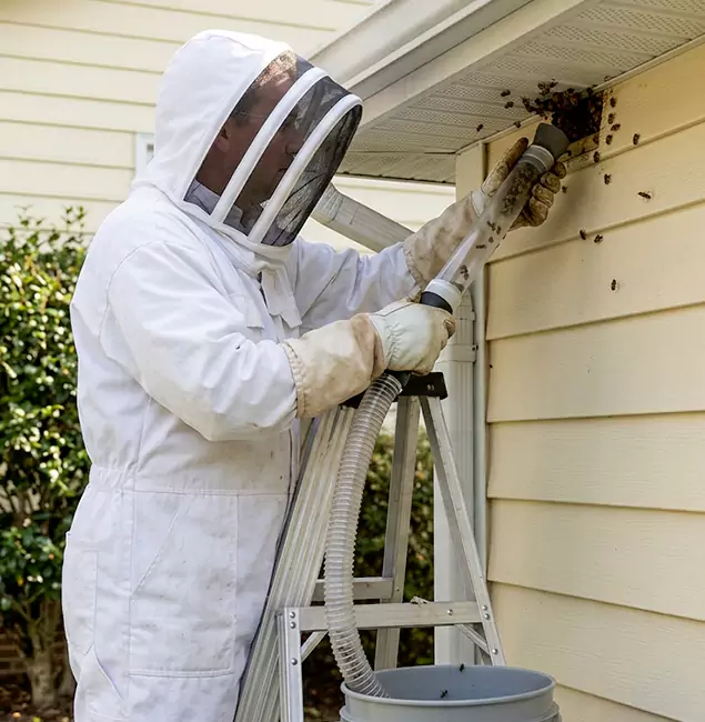 Why Peachtree Corners Trusts Peachtree Corners Pest Control Pro for Wasp Control?