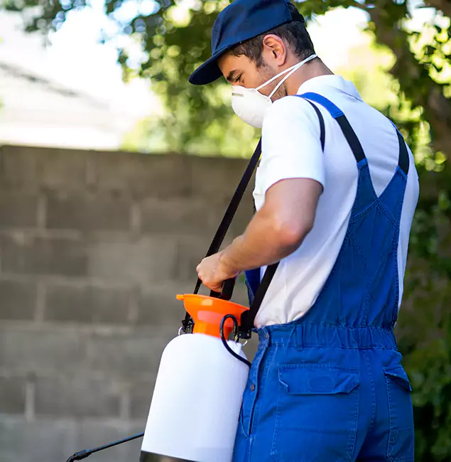 Why Peachtree Corners Pest Control Pro Is the Right Choice for Yellow Jacket Removal in Peachtree Corners, GA?