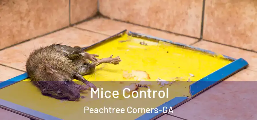 Mice Control Peachtree Corners-GA