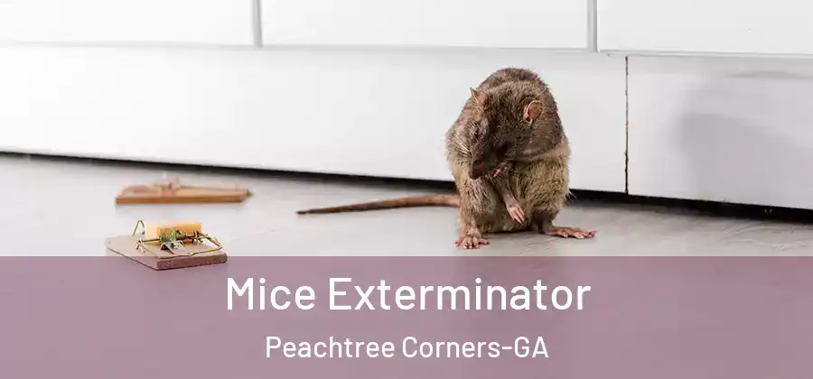  Mice Exterminator Peachtree Corners-GA