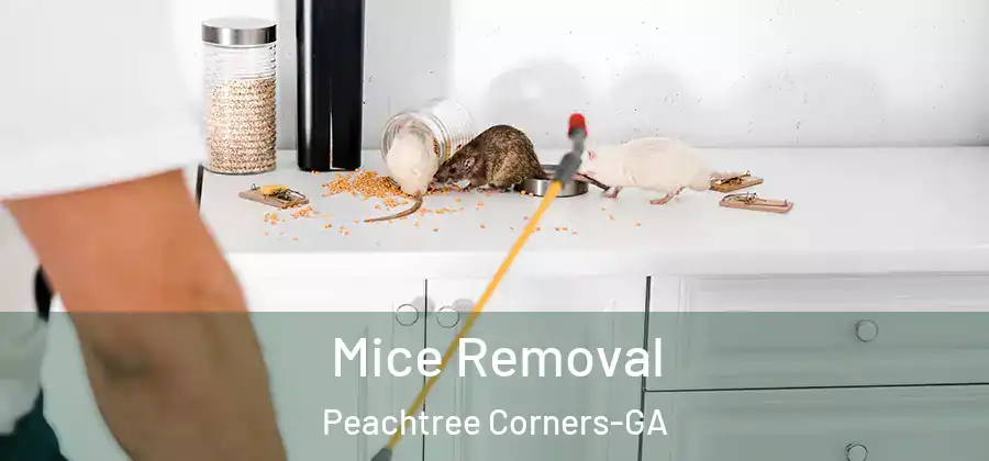  Mice Removal Peachtree Corners-GA