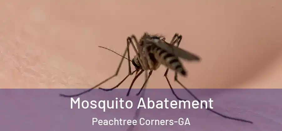  Mosquito Abatement Peachtree Corners-GA