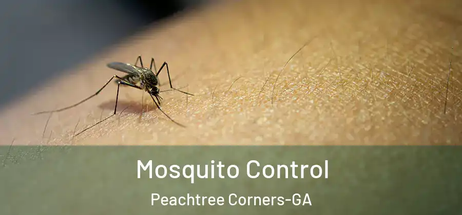  Mosquito Control Peachtree Corners-GA
