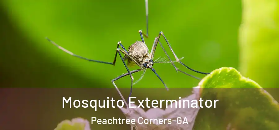  Mosquito Exterminator Peachtree Corners-GA