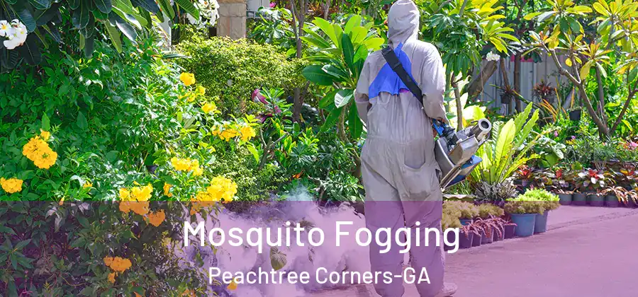 Mosquito Fogging Peachtree Corners-GA