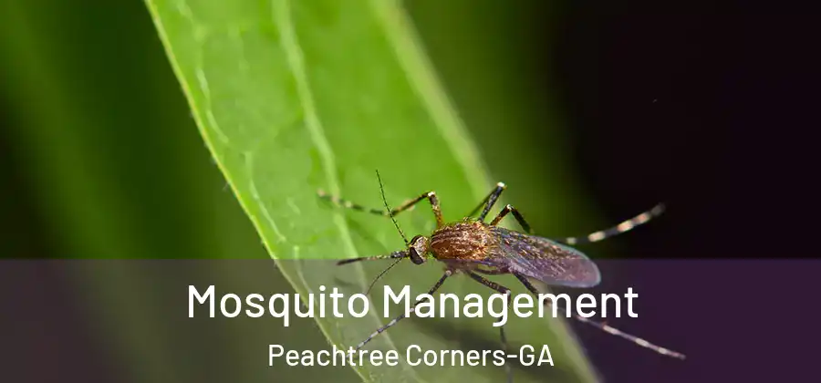 Mosquito Management Peachtree Corners-GA