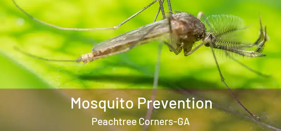 Mosquito Prevention Peachtree Corners-GA