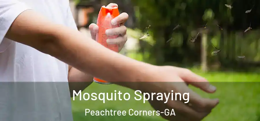Mosquito Spraying Peachtree Corners-GA