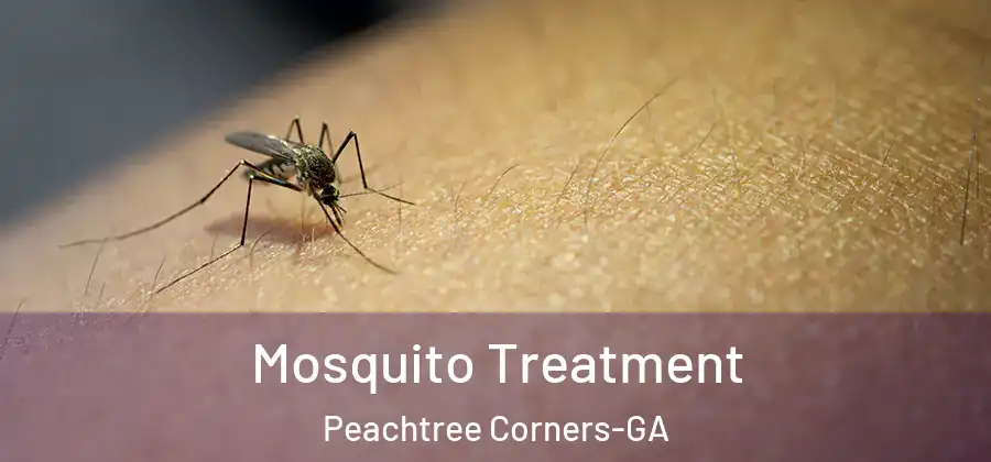 Mosquito Treatment Peachtree Corners-GA