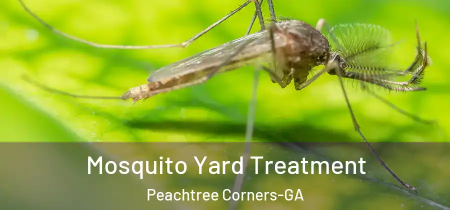Mosquito Yard Treatment Peachtree Corners-GA