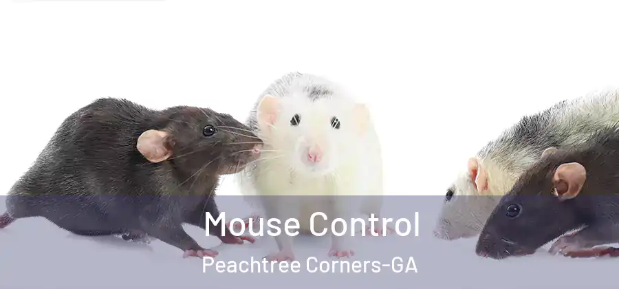  Mouse Control Peachtree Corners-GA