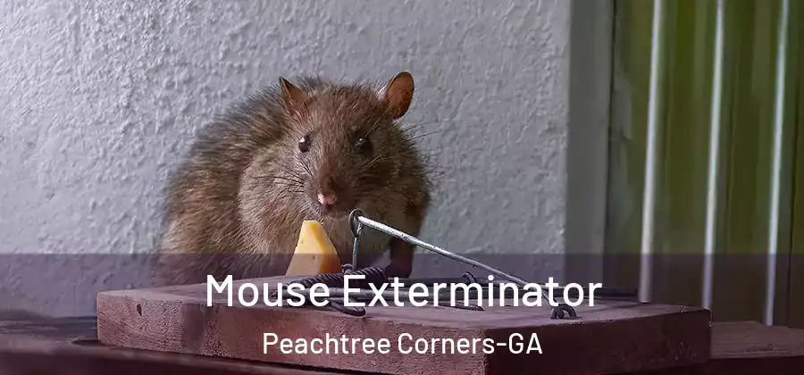 Mouse Exterminator Peachtree Corners-GA